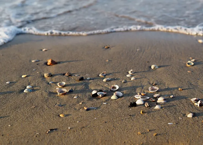 Modern Flat With Big Swimming Pool And Balcony