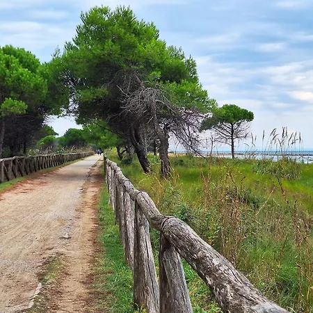 Modern Flat With Big Swimming Pool And Balcony Bibione