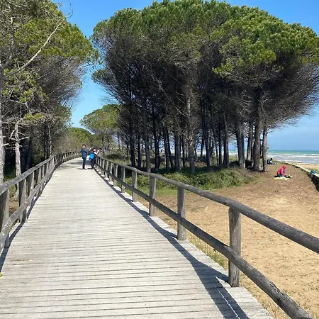 Modern Flat With Big Swimming Pool And Balcony Apartment Bibione